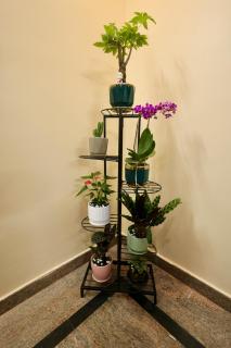 Dwaya Villa Stay in Tirupati - 3