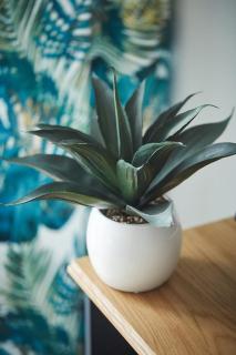 Apartament Pileckiego Nowy Dwór Mazowiecki Airport Modlin 24 H - 5