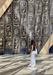 Altura Pyramids View Inn - 5