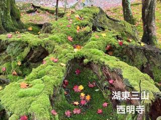 多賀三宿 - Taga - 4