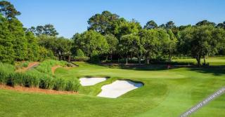 True Blue Golf Resort - 5