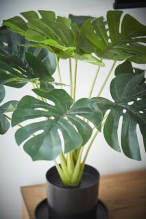 Apartament Pileckiego Nowy Dwór Mazowiecki Modlin Airport - 1