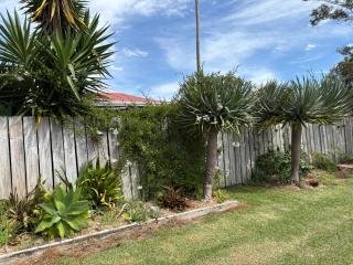 Lake Ngatu Cottage - 4