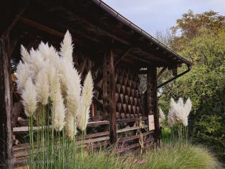 Hay barn unique experience Visole - 9