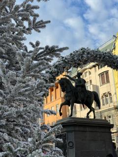 Cosy-Zagreb Center-Apartman Medo-Two Bathrooms - 0