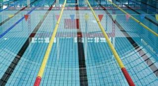 Telecom International Hotel - 4