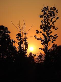 Entire Farm house in Jim Corbett with staff and cook - 5