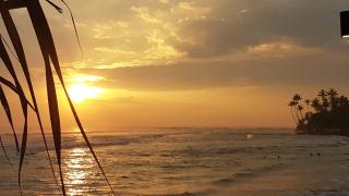 Danushka Family Guesthouse - 2