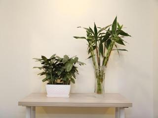 Beijing Yi Jia Hotel - 6