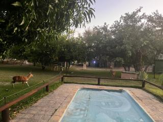 Proudly Okavango self-catering Burnside - 9