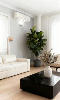 Burwood Family Guest Home - 9