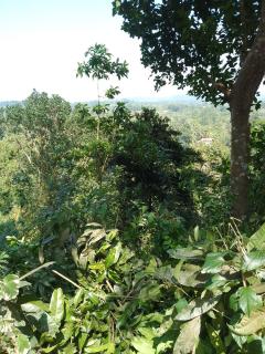 Mount view villa - 0