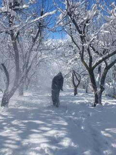 Dez Guest House, Margahovit, Lori - 8