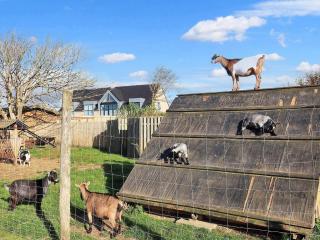 Cozy cabin in camping resort - 5