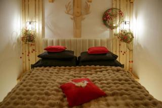 Wiślański Renifer - 5