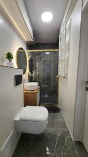 Calea Victoriei Gem Ultracentral Apartments-3 Properties-1 and 2 Bedrooms - 6