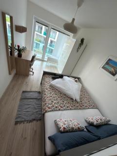 City View Apartment Martin - 4