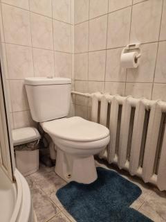 Brīvdienu māja Vecdaugavā - 3