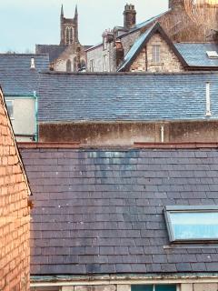 The Maisonette central Buxton - 7