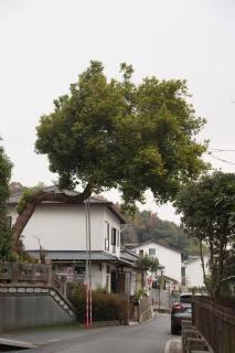 Dan’s Sea Guest House Hangzhou - 8