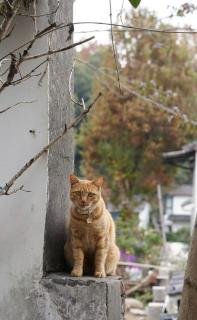 Dan’s Sea Guest House Hangzhou - 9