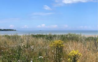 Amazing Home In Mesinge With Wifi - 9