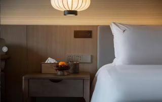 Karuizawa Onsen Tsubame Hotel - 3