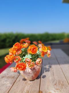 Waterresort Oosterschelde house no.51 - 5