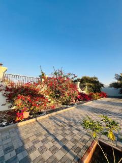 ABUCHO Holiday Homes - Ras Al Khaimah UAE - 4