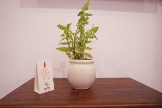 Daksh The Fateh Retreat - A Lake View Resort in Udaipur - 6