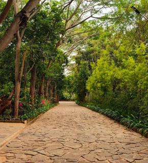 Trisara Boutique Stay - 2