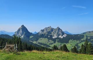 AlpinRetro-Apartment I Stylisch & zentral I See & Berge I Luzern I Zürich I Stoos I Rigi - 2
