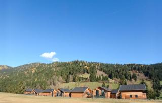 Chalet Afritz Am See - 1