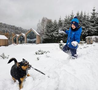 Domki Pod Lasem - Domek Bukowy - 2