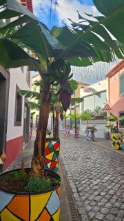 Jose & Idalina House - 9