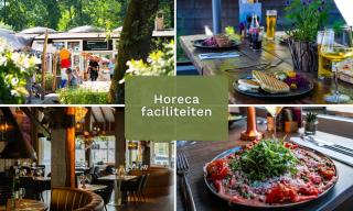 Vakantiepark De Rimboe & De Woeste Hoogte - 9