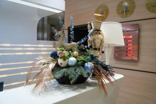 Caprioara Spa&Wellness Resort - 1