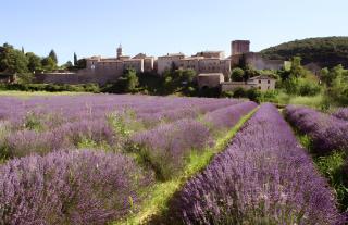 Chambres d'hôtes à Fontarèches - 4
