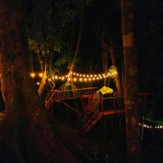 Señor Magallanes Farm and Resort - 7