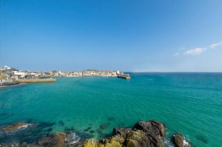 3 Crab Rock Dolphin - 5