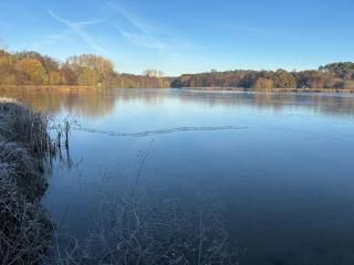 Four Seasons Lodge - 9