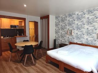 Grand studio en montagne - 9