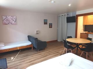 Grand studio en montagne - 6