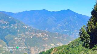 Long Forests Tour - 0