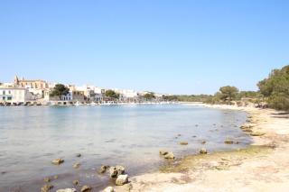 Can Alou ETV9643 - 9