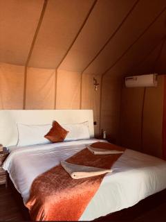 Merzouga sand camp - 1