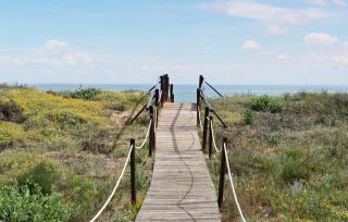 Awesome Apartment In Guardamar De La Safor - 3