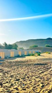 Merzouga sand camp - 0