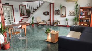 Woodpecker Backpacker Hostel - 0