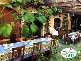 Agriturismo del Pigato - Bio Vio - 2